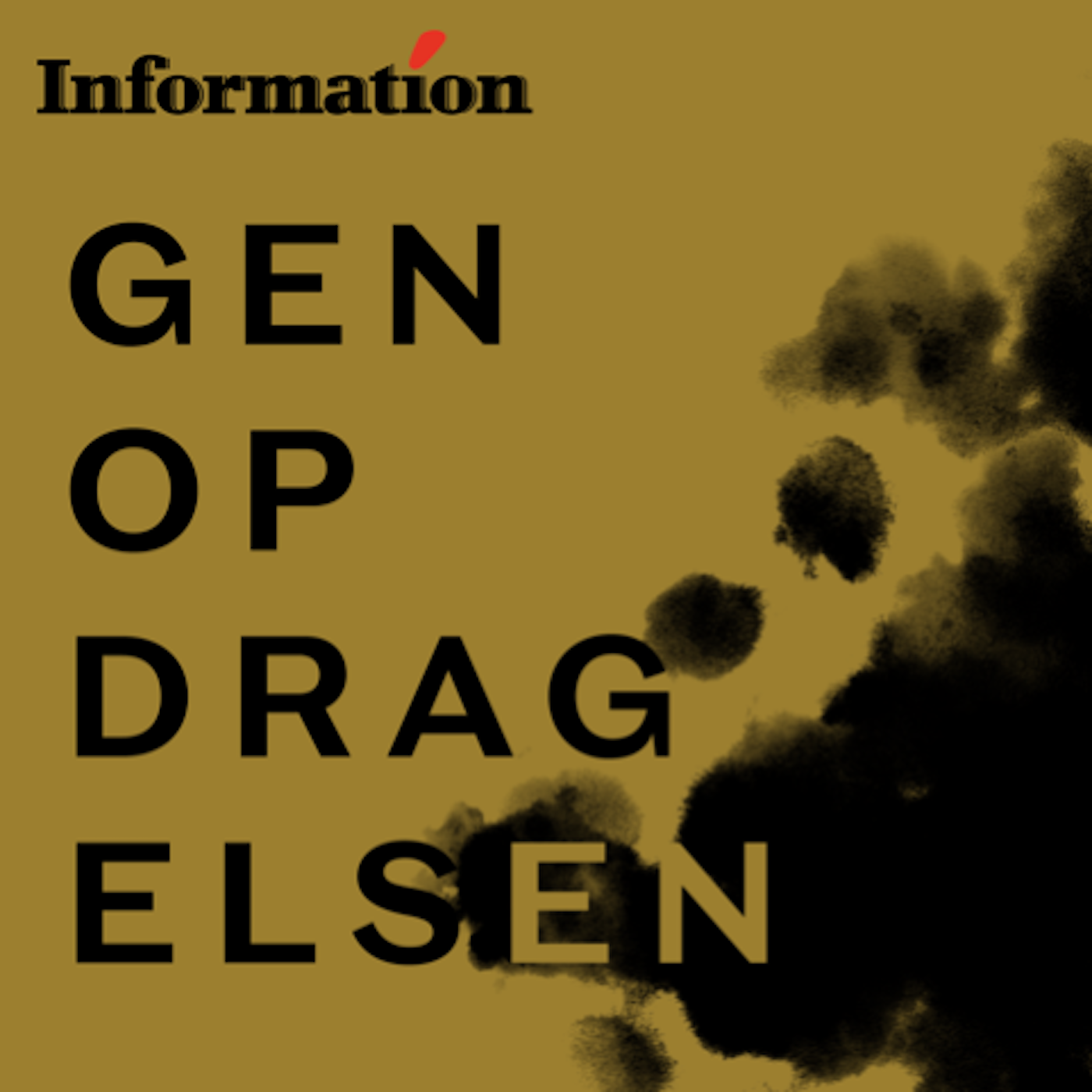 Tarek Ziad Hussein: Vi har ikke taget problemerne alvorligt nok