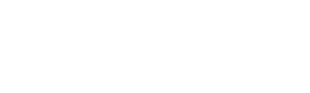 Best Wedding Photographers