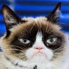El Gato