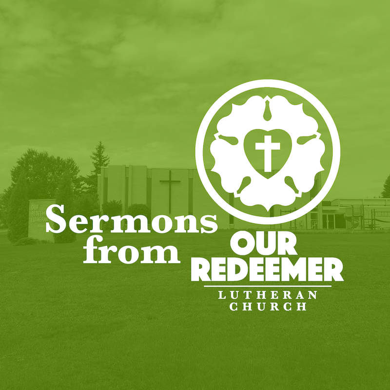 “The Message Is the Same…But Always Unexpected” (Matthew 21:1-9)