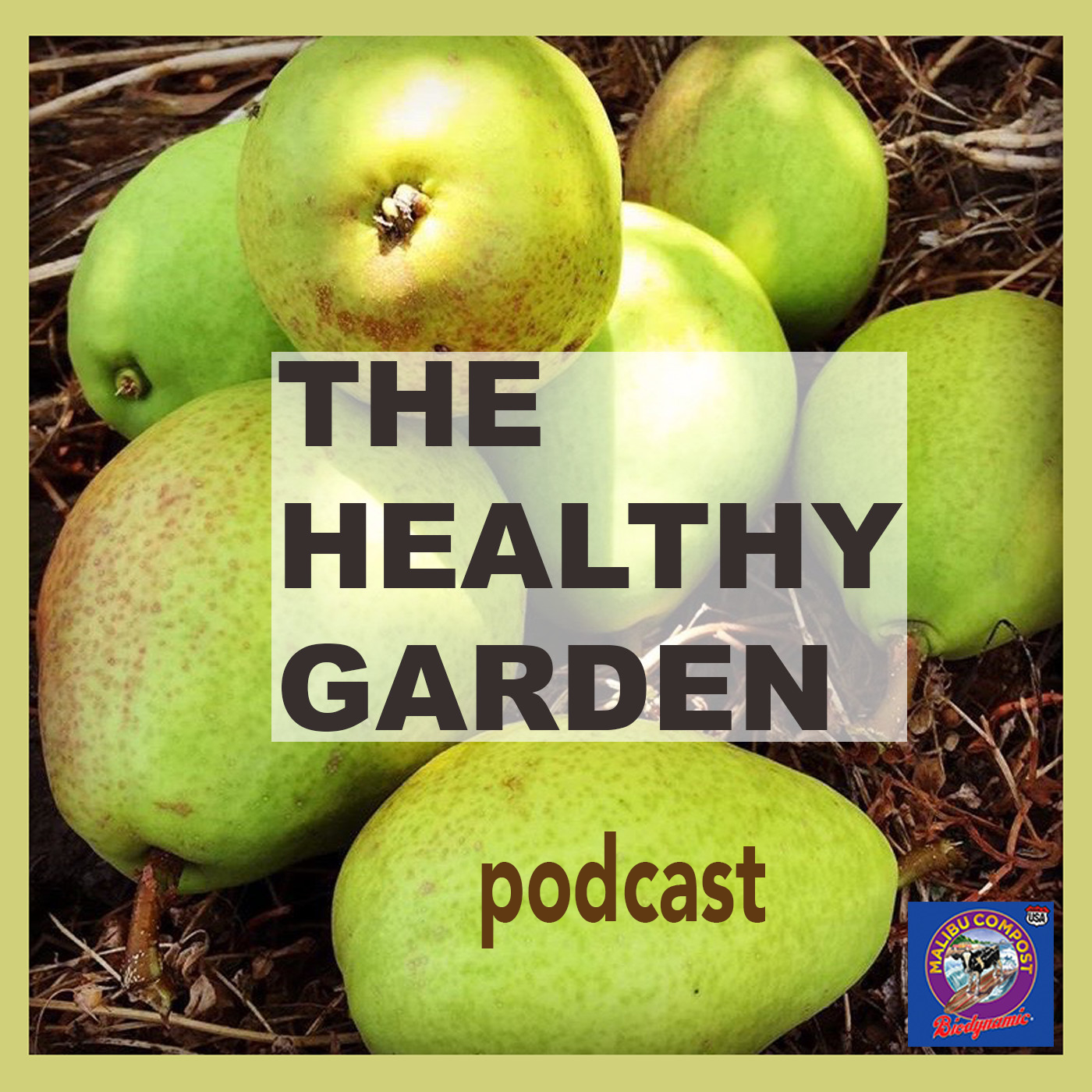 #46 Gardening with Rainwater