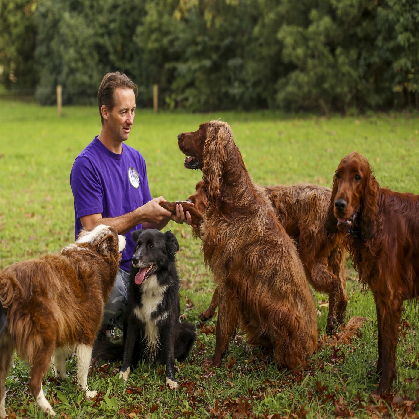 The Mindful Dog - 02/04/20 - EP 25. Guest - Charley Quinn (Vetora Vet) - Covid-19 an dour dogs.