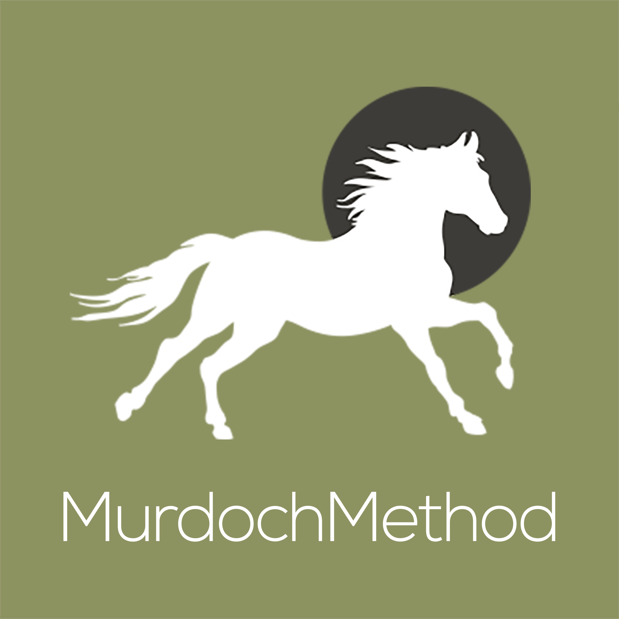 No. 43. Julien Beaugnon, formerly of Cavalia talks about training horses