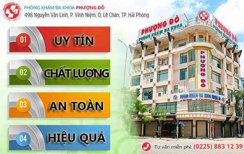 cat bao quy dau o hai phong