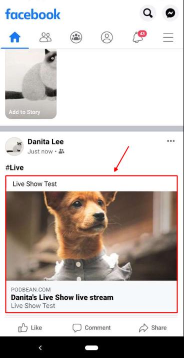 Promote Your Livestream to Your Fans