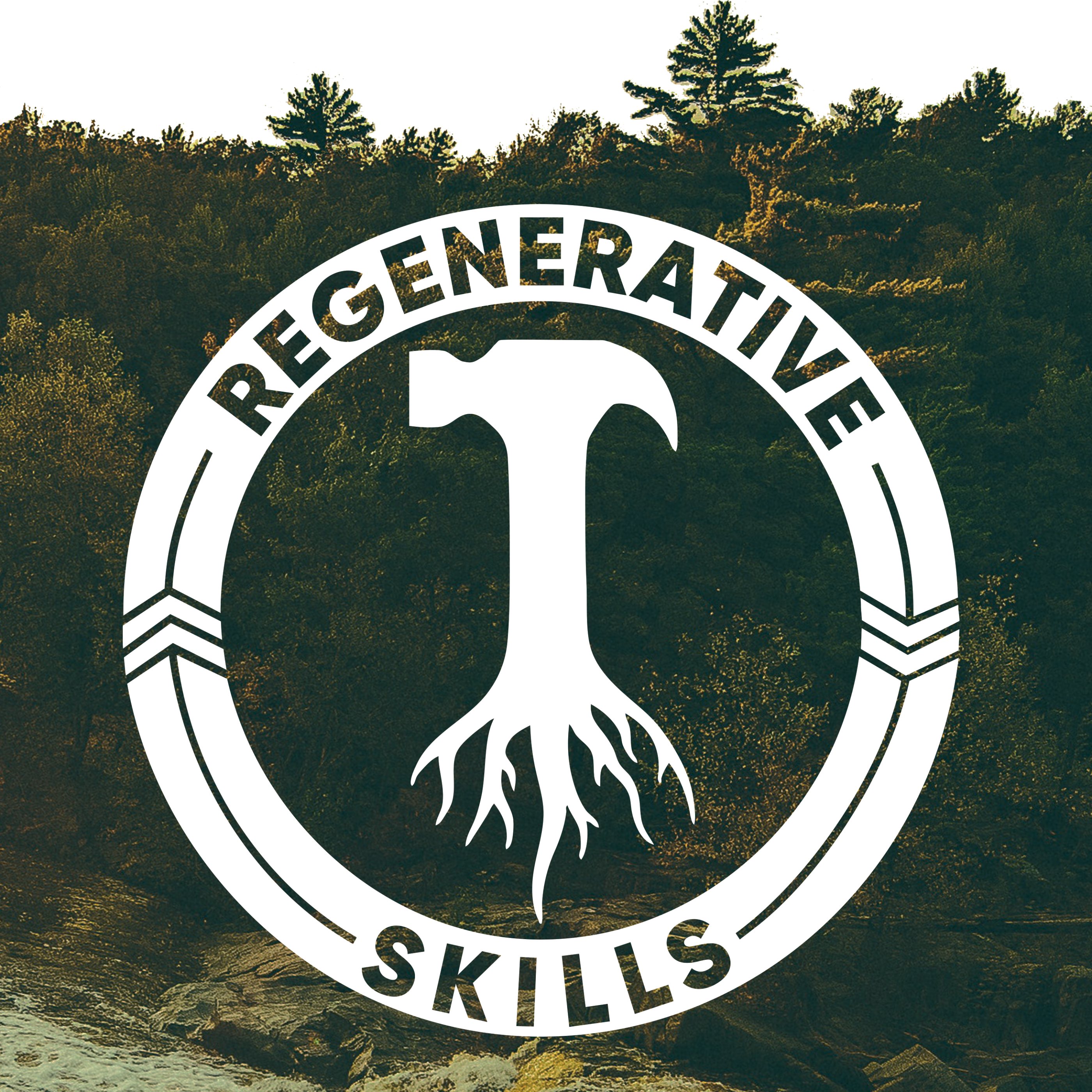 Regenerative Skills