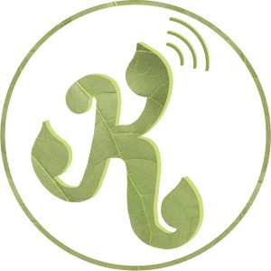 User Podcast Logo