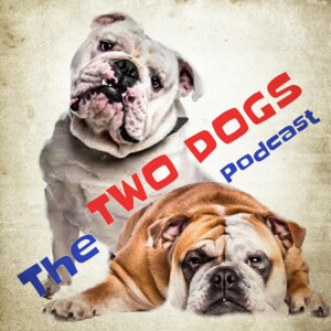 User Podcast Logo