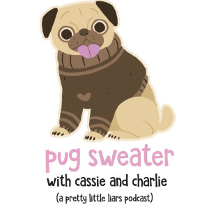 User Podcast Logo