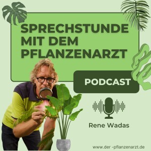 User Podcast Logo