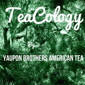 TeaCology by Yaupon Brothers American Tea