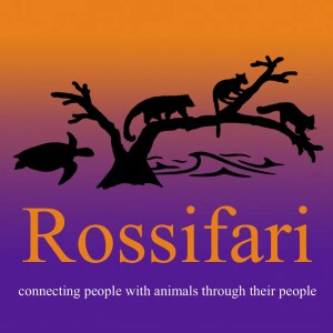 User Podcast Logo