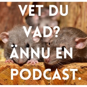 Vet du vad?