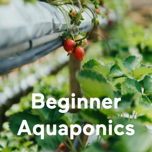 Beginner Aquaponics