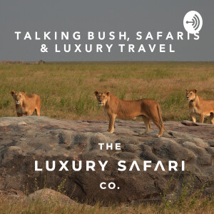 Talking Bush, Safaris & Luxury Travel