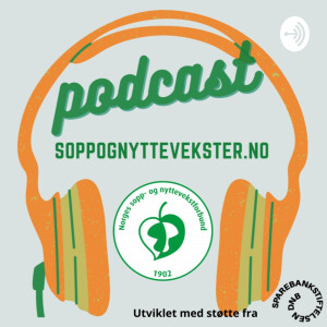 User Podcast Logo