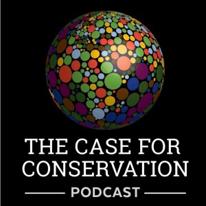 User Podcast Logo