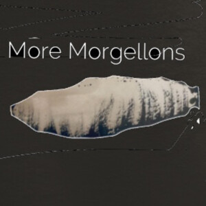More Morgellons