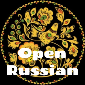 User Podcast Logo