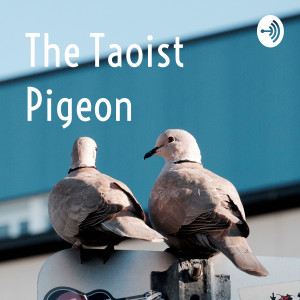 The Taoist Pigeon