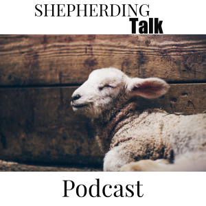 User Podcast Logo
