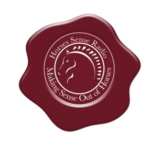 User Podcast Logo