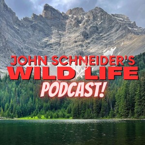 User Podcast Logo