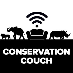 Conservation Couch