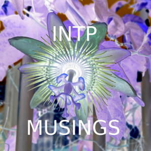 INTP Musings