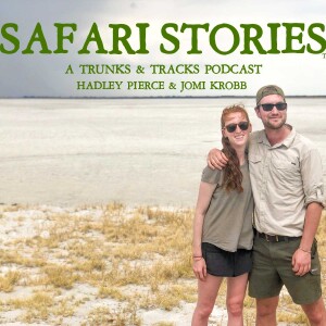 Safari Stories