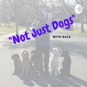 User Podcast Logo