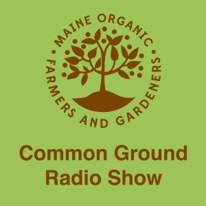 User Podcast Logo