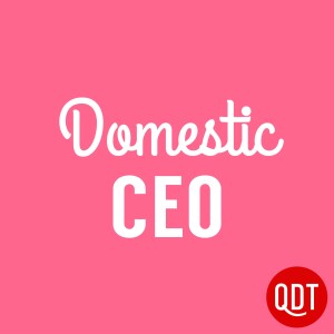 Domestic CEO’s Quick & Dirty Tips to Managing Your Home