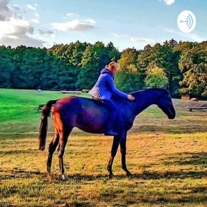 Die PferdeJane- Mein Leben unter Reitern