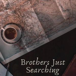 Brothers Just Searching
