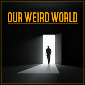 User Podcast Logo