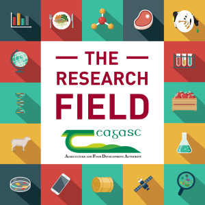 The Research Field