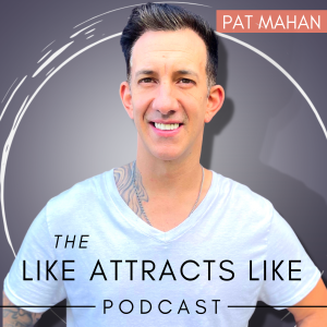 The Like Attracts Like Podcast