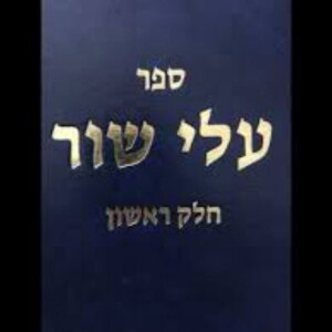 The Alei Shur Podcast with Dovid Y. Kornreich