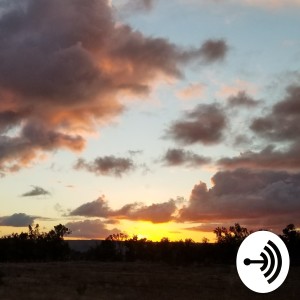 User Podcast Logo