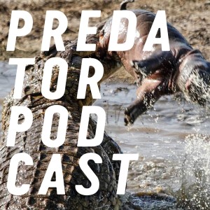 User Podcast Logo