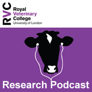 Research Podcasts  – Veterinary Science on the Move