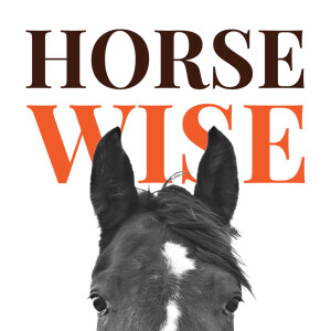 Horse Wise