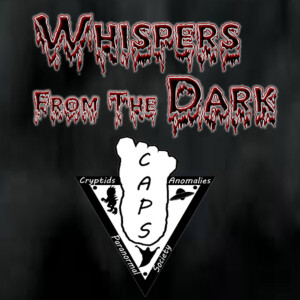 User Podcast Logo