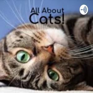 Episode Logo