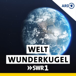 Episode Logo