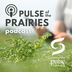 User Podcast Logo