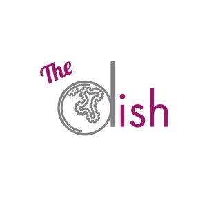 User Podcast Logo