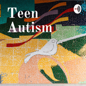 User Podcast Logo