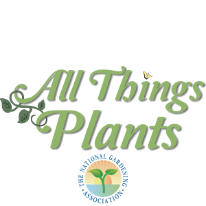 Episode Logo